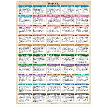 Amazon.co.jp: ザ・アクセス クリアファイル トカゲ 大全 水族館